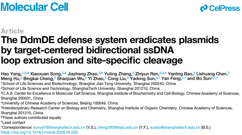 生命学院孙博/孙亚东联合团队揭示细菌防御系统DdmDE清除质粒的分子机制