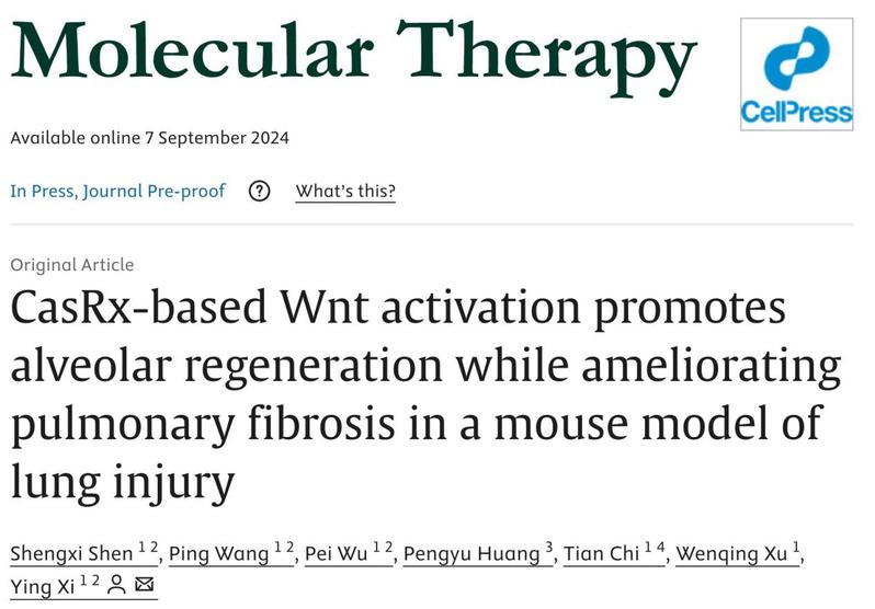 生命学院席莹组开发促进肺泡再生、治疗肺纤维化的新方法