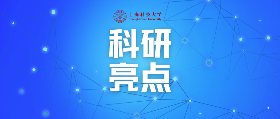 喜讯！上科大学子荣获MICCAI 2024最佳论文奖和青年科学家奖