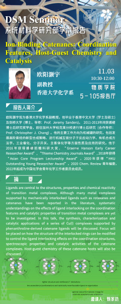 Ion-Binding Catenanes: Coordination Features, Host-Guest Chemistry and Catalysis