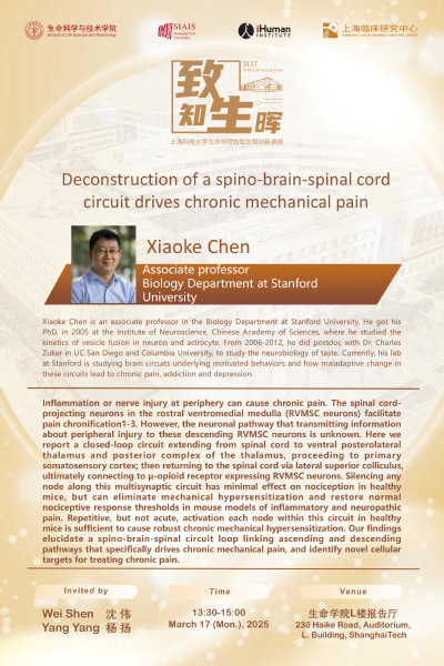 Deconstruction of a spino-brain-spinal cord circuit drives chronic mechanical pain