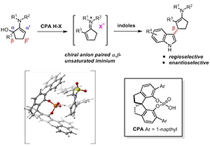 物质学院杨晓瑜课题组在手性阴离子催化合成手性吲哚衍生物方面取得新进展