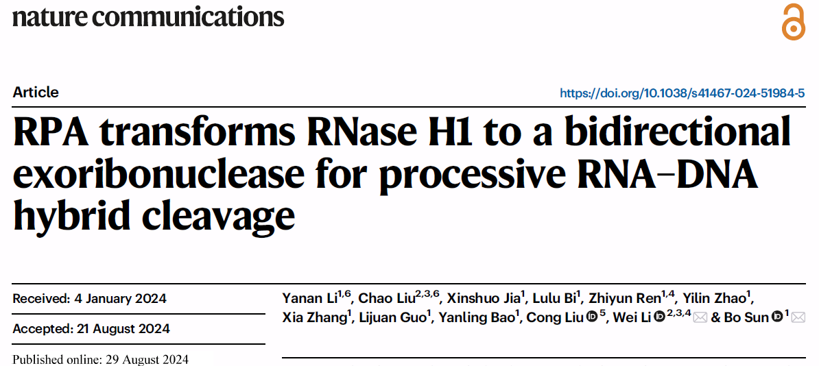 生命学院孙博课题组与合作者揭示核酸酶降解RNA-DNA杂合核酸的新模式