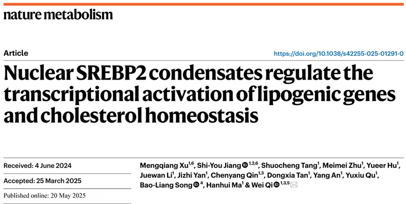 生命学院戚炜组发现调控胆固醇合成的新机制