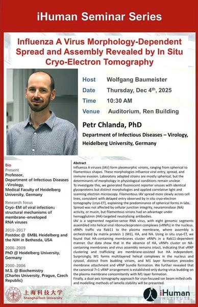 Influenza A Virus Morphology-Dependent Spread and Assembly Revealed by In Situ Cryo-Electron Tomography