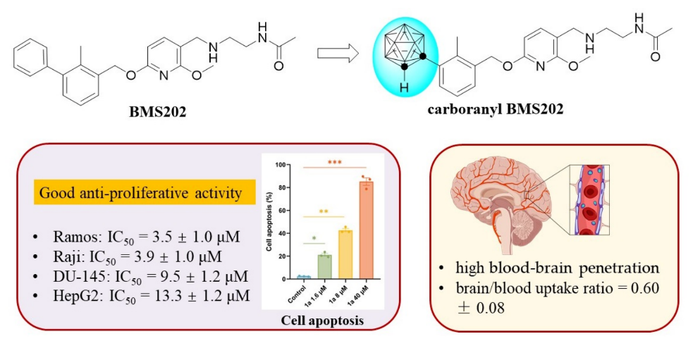 生医工学院王斯楠课题组在含碳硼烷药物和氟化学研究中取得系列进展