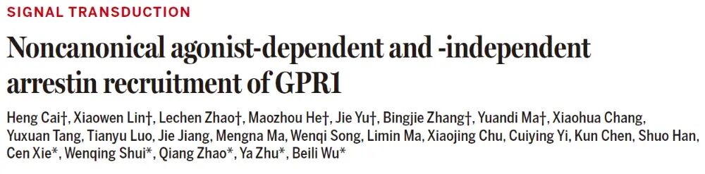 iHuman研究所水雯箐团队与合作者解析趋化素受体非典型信号转导机制
