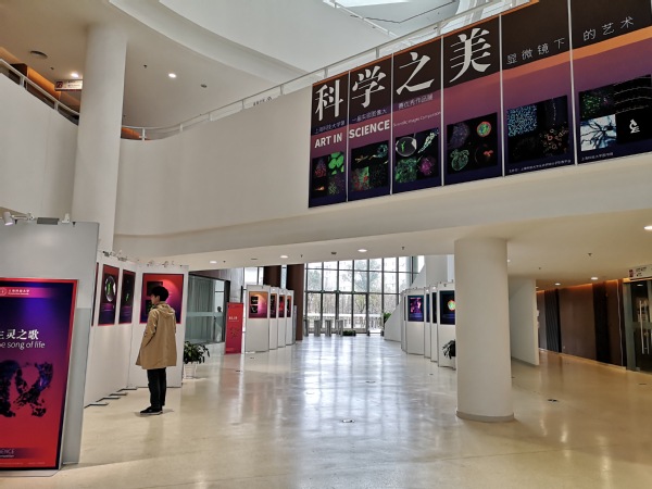  “科学之美：显微镜下的艺术”实验图像作品展亮相上科大