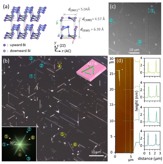物质学院王宏达课题组实现二维亚稳态铋纳米带的类自由外延生长