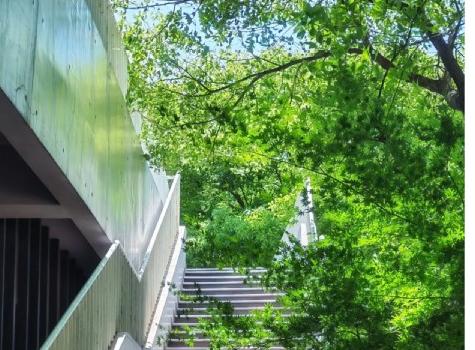 节气上科 | 麦芒之上，静候圆满