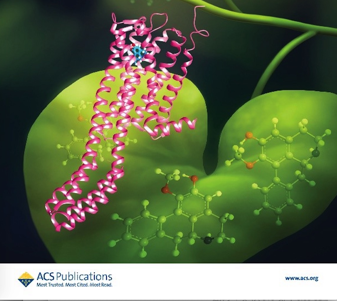 Discovery of Novel GPCR Modulators Through Affinity Mass Spectrometry-Based Screening of Herbal Extracts   