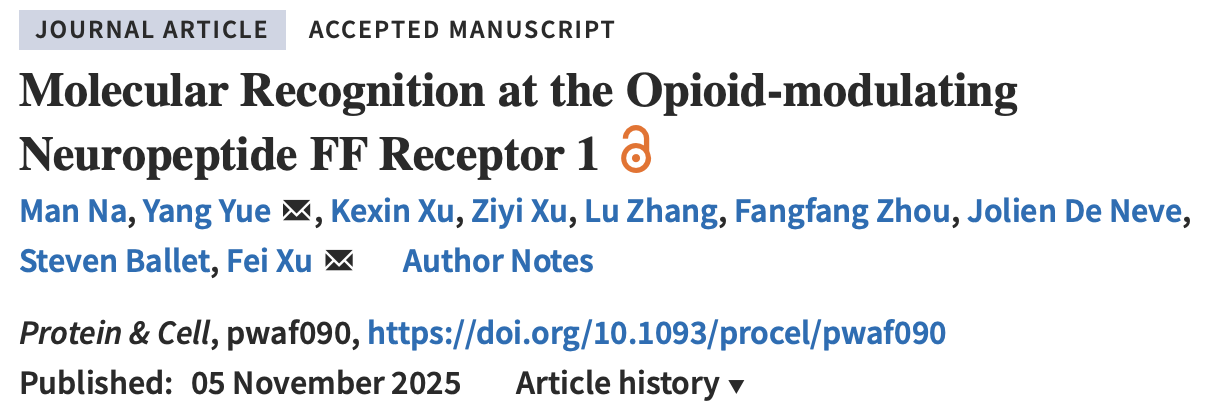 iHuman研究所团队解析神经肽受体NPFFR1结构，为新型镇痛药物研发提供关键线索