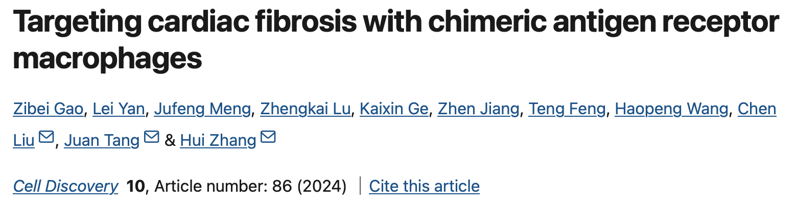 生命学院张辉组与合作者开发靶向心脏纤维化的嵌合抗原受体巨噬细胞疗法