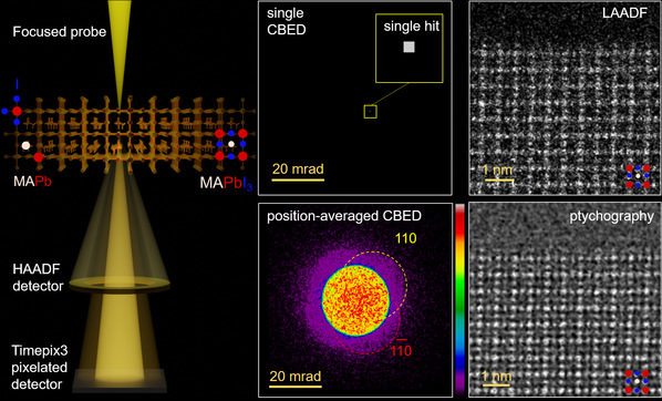 Advance in electron microscopy of radiation-sensitive materials