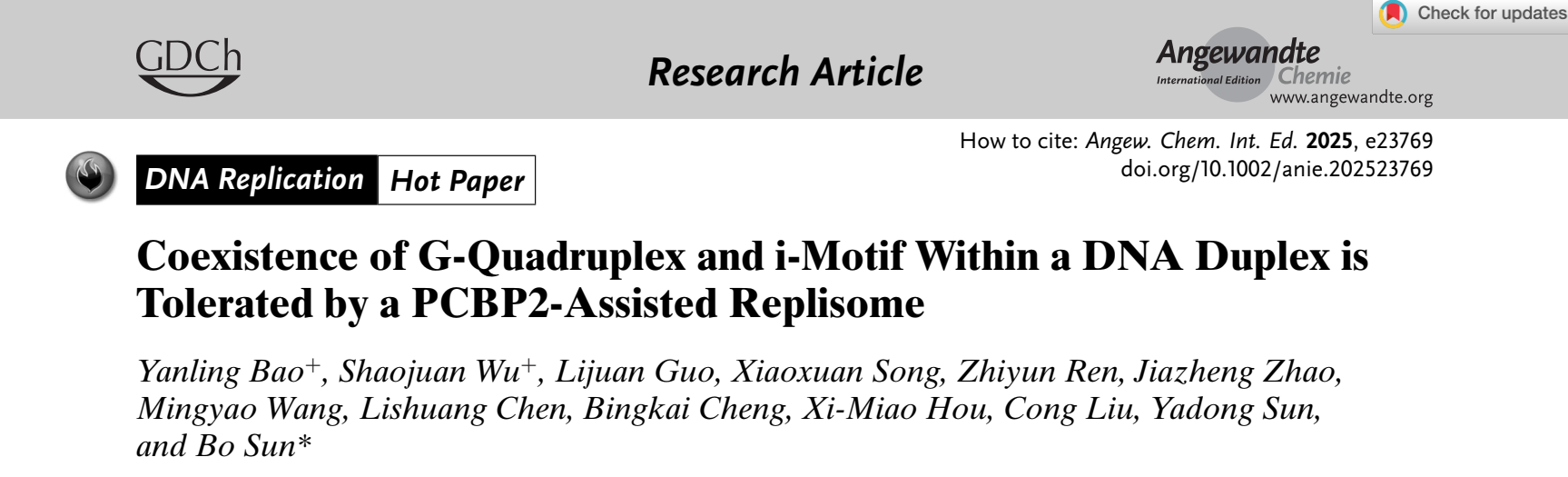 生命学院孙博课题组揭示PCBP2协助复制体克服G四链体及i-Motif共存障碍的分子机制