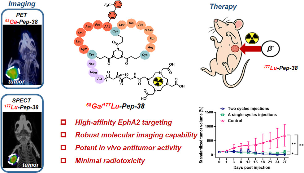 生医工学院罗宗化课题组在多肽分子影像探针研发中取得新进展