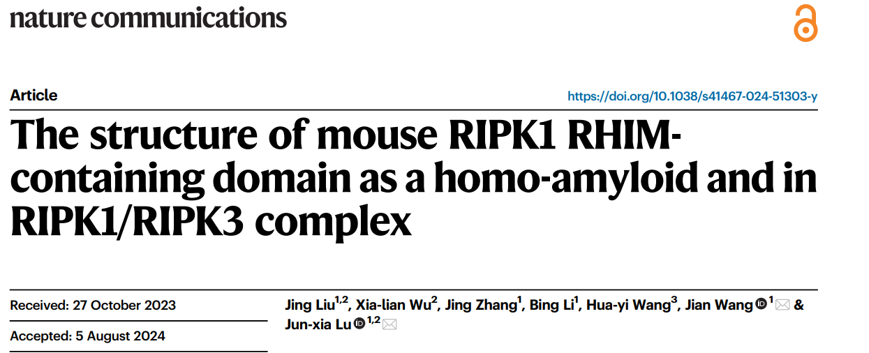 生命学院研究团队解析细胞坏死相关蛋白mRIPK1淀粉样纤维结构