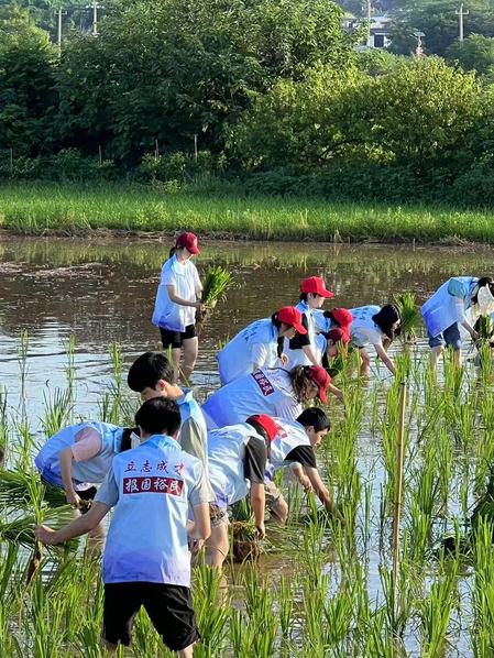 Two ShanghaiTech courses recognized as third batch of National First-Class Undergraduate Courses