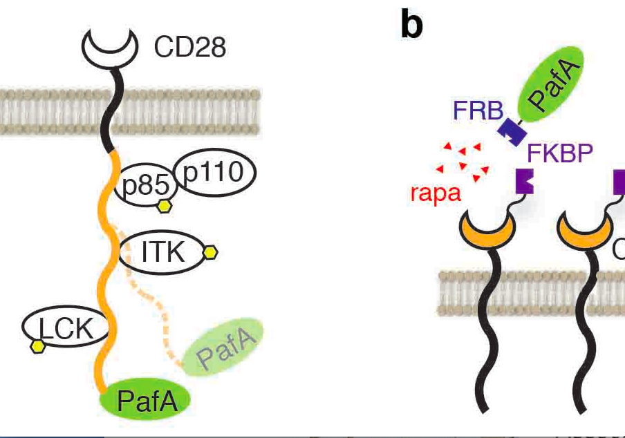 Novel Proximity Tagging System Developed