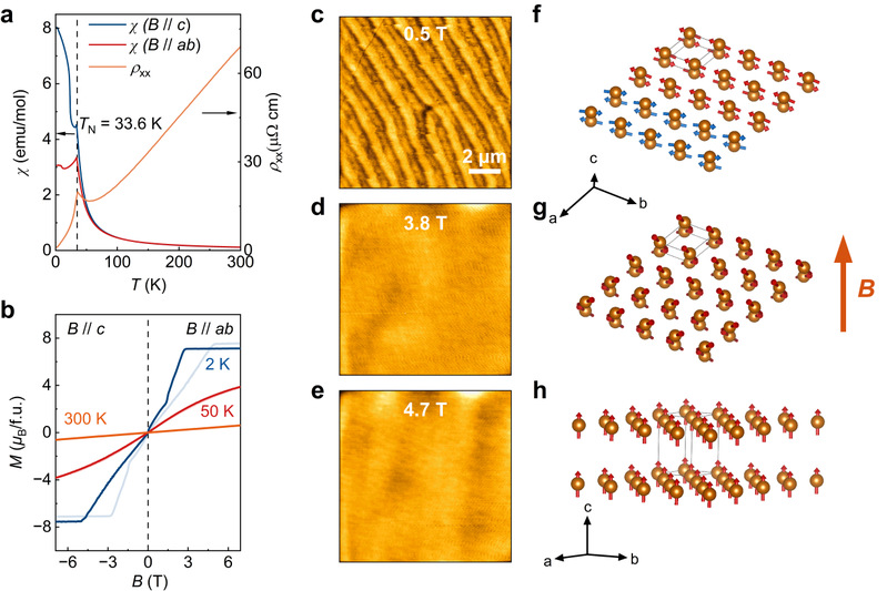 拓扑物理实验室郭艳峰、王文波与合作者在磁性拓扑材料平面霍尔效应研究方向取得重要进展