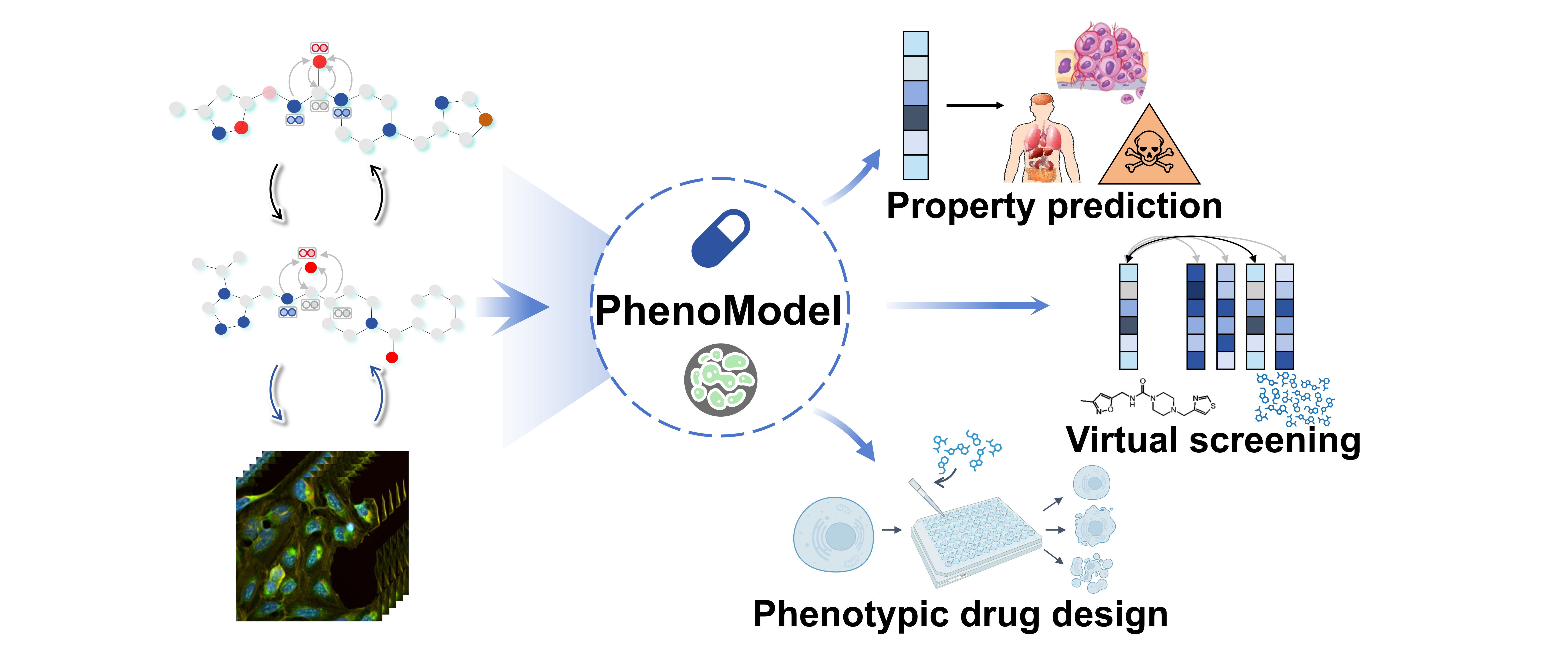 免化所白芳课题组与合作者开发表型驱动的多模态药物设计基座模型