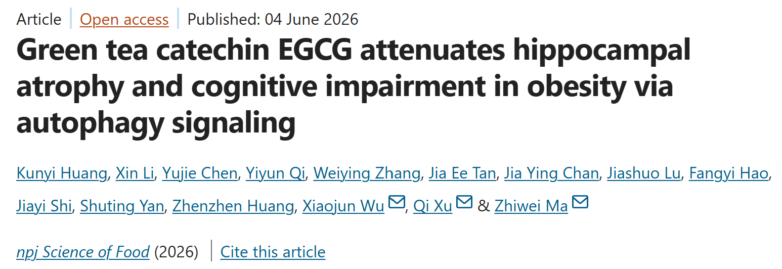生医工学院马智炜课题组与合作者揭示绿茶有效成分EGCG的神经保护机制